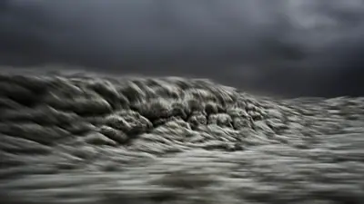 Transcripts of a Sea