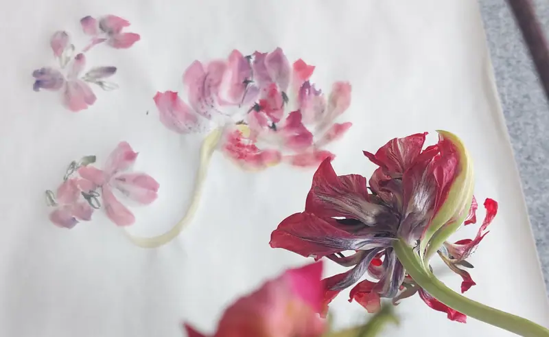 Colours of Flowers